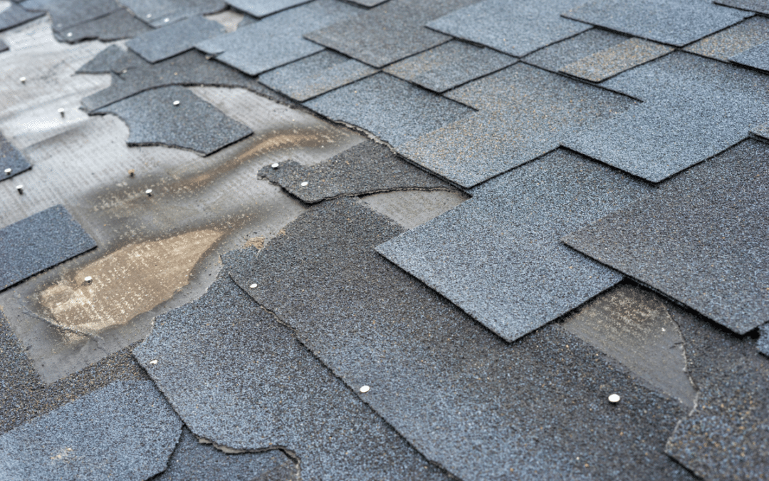 Why You Should Replace Your Asphalt Shingle Roof