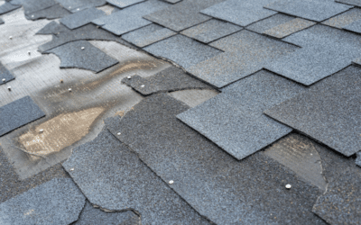 Why You Should Replace Your Asphalt Shingle Roof